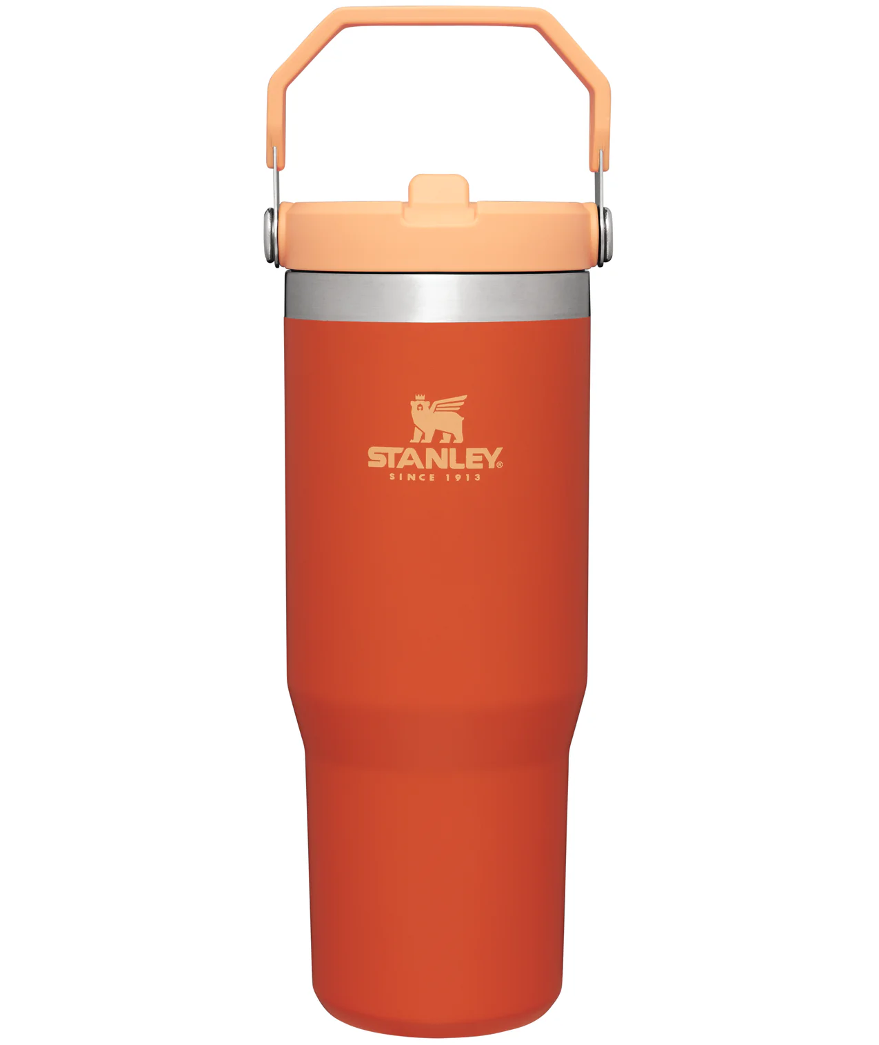 Stanley The IceFlow™ Flip Straw Tumbler 30 oz – Occasionally Yours