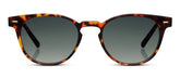 Boho II Polarized Sunglasses - Tortoise
