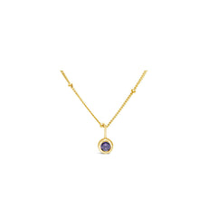 Stia February Birthstone Necklace - Gold