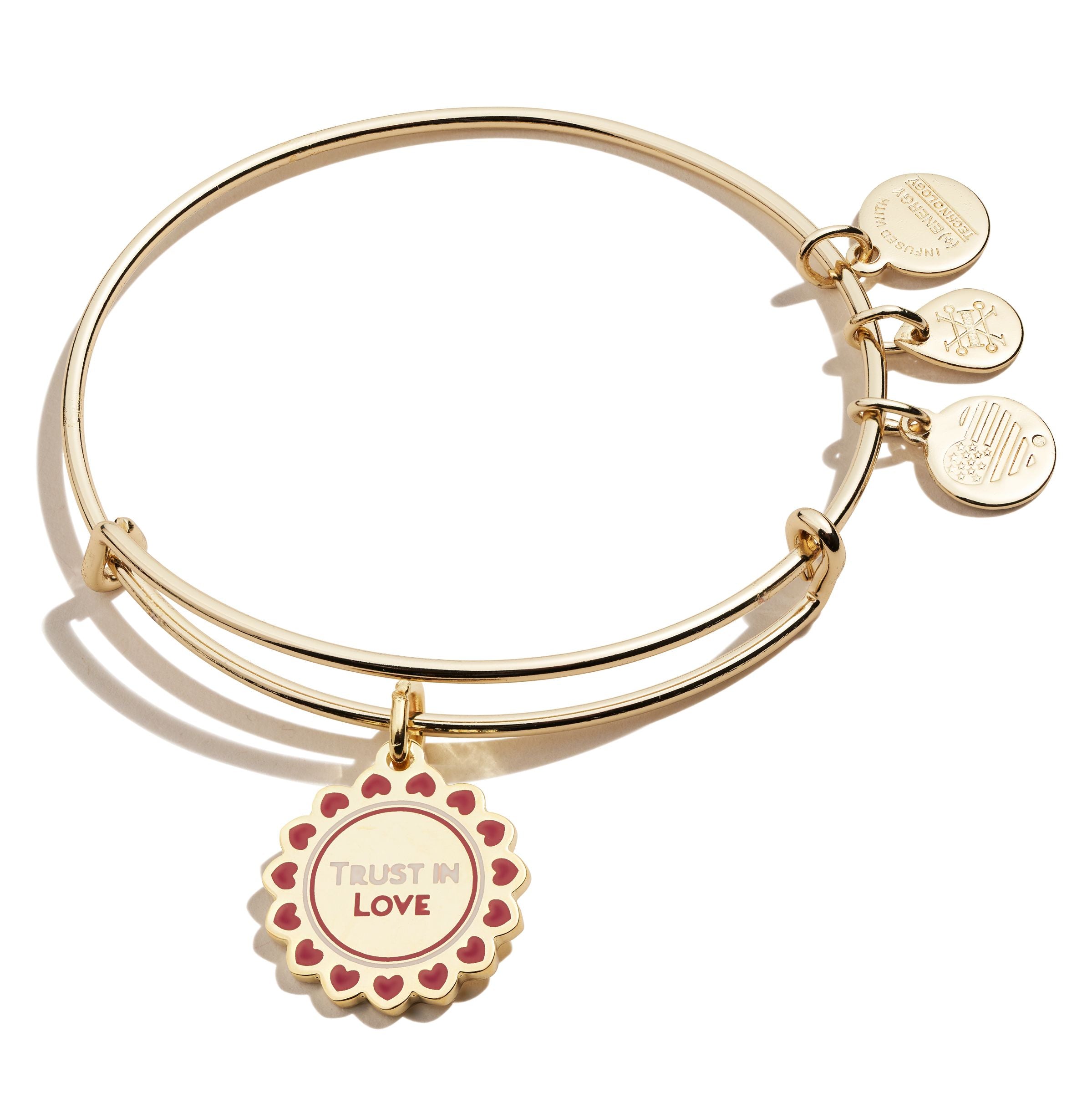 Alex and Ani Color Infusion Fall In Love Bangle Bracelet Charm Bracelet Fall
