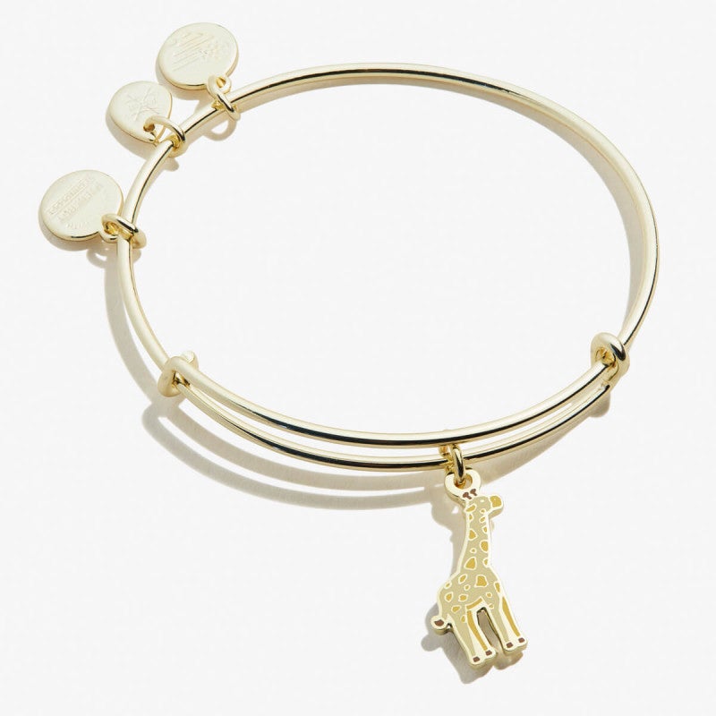 4 Stackable Alex and Ani Charm Bracelets - Ruby Lane