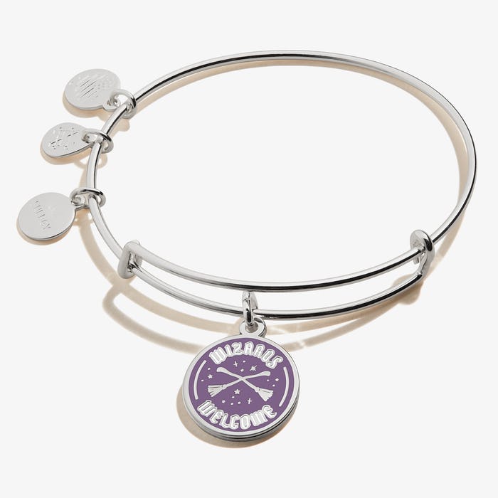 Alex And Ani Team USA Bangle Bracelets Bracelet