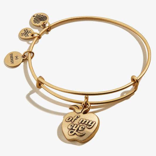 Apple of my eye charm bangle bracelet in rose gold by Alex and Ani  1200