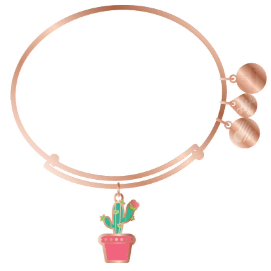 Cactus Charm | Bangle Bracelet | Rose Gold | Alex and Ani