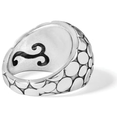 Pebble Stone Ring - Size 6 Back View