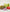 Vera Bradley Travel Accessories