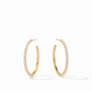 Juliet Hoop