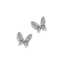 Enchanting Butterfly Post Earrings - Silver