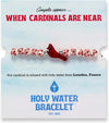 Holy Water Porcelain Cardinal