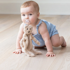 Pacifier Buddy