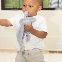 A gray elephant pacifier buddy from the brand, Bella Tunno. The bunnies name is, "Evie."