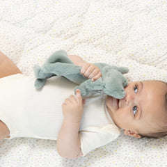 A green frog pacifier buddy from the brand, Bella Tunno. The bunnies name is, "Freddie."