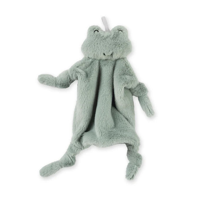 A green frog pacifier buddy from the brand, Bella Tunno. The bunnies name is, "Freddie."