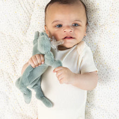 A green frog pacifier buddy from the brand, Bella Tunno. The bunnies name is, "Freddie."