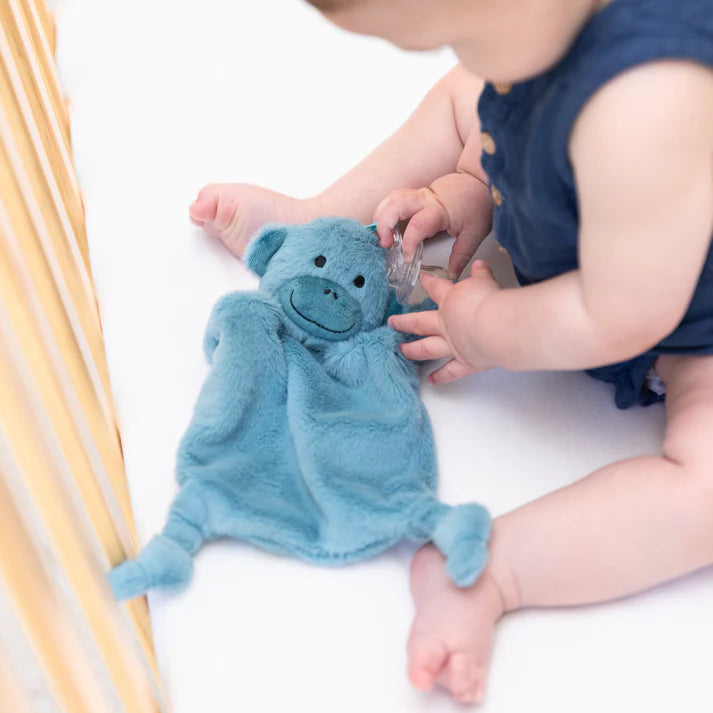 A blue monkey pacifier buddy from the brand, Bella Tunno. The bunnies name is, "Milo."