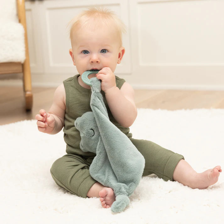 A green frog teether, with two teething rings on it's paws. The bunnies name is Freddie, and comes from the brand Bella Tunno.