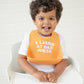 Wonder Bib