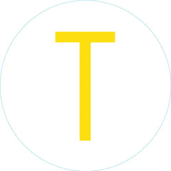 Initial "T" Bogg Bit Front View