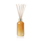 Glimmer 8 fl oz Reed Diffuser Pumpkin Dulce