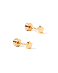 Lily Co Screwback Stud earrings in the shape of stars.