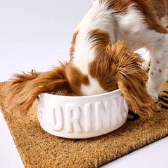 Mud Pie Dinner & Drinks Dog Bowl Set