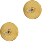 Ferrara 2 Tone Post Earrings Back View
