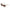 Ferrara Two Tones Tortoise Sunglasses Side View