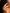 18k gold plated Asher Ring from the brand Gorjana.