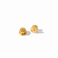 Colette Hoop & Charm Earring