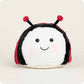 Ladybug Junior