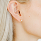 Screwback Stud Earrings - Maeve