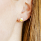Screwback Stud Earrings - Cupcake