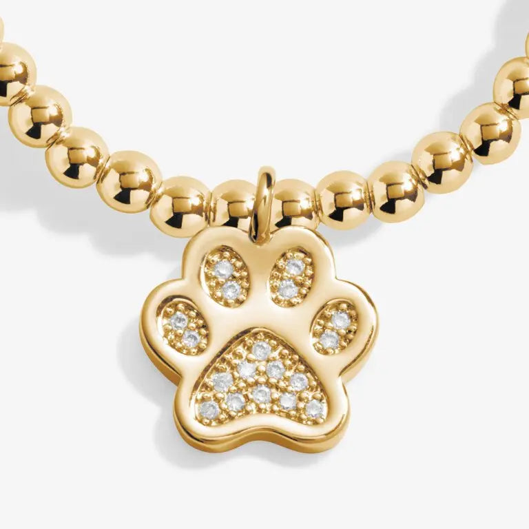 A Little Love Has Four Paws - Gold Bracelet Charm View