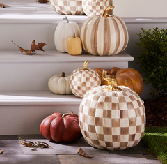 Mocha Check Pumpkin