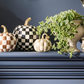 Mocha Check And Stripe Petite Pumpkins, Set Of 2