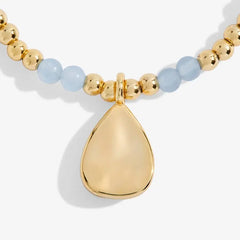 A Little Birthstone March Aqua Crystal - Gold Bracelet Charm View
