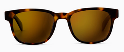 18th Hole Polarized Sunglasses