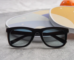 Harbor Polarized Sunglasses