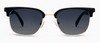 Houston Polarized Sunglasses
