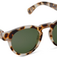 Nantucket Polarized Sunglasses