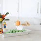 Striped cracker tray from Nora Fleming.