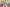 Over head view of a Nora Fleming Christmas table