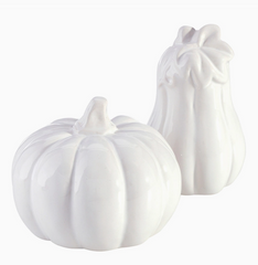 Ceramic Salt & Pepper Shakers