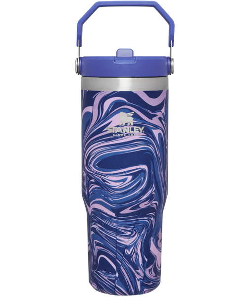 New View Gifts & Accessories Stainless Steel 30-oz. Tumbler with Straw - Lavender, Purple