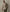 Jakes Toggery - Outerwear