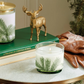 Small Pine Needle Luminary