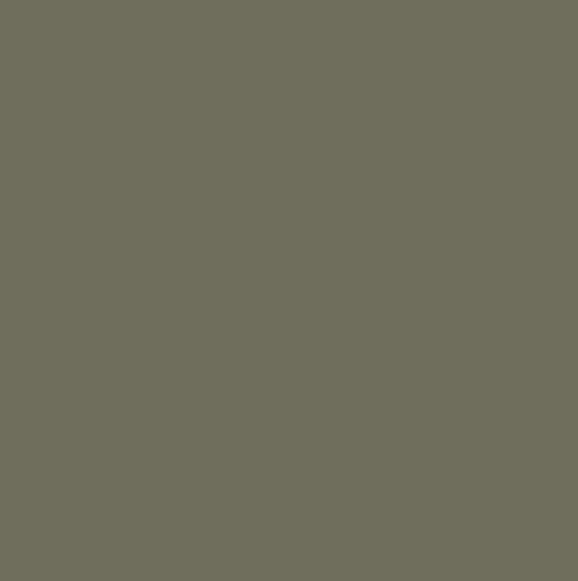 Large Lunch Bag : Deep Lichen Green