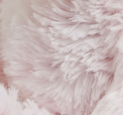 Junior Plush Bunny Stuffed Animal