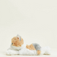 Calico Cat