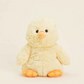 Chick